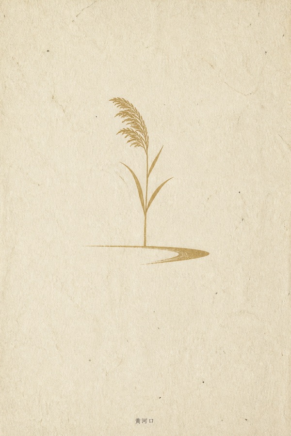 东营黄河口